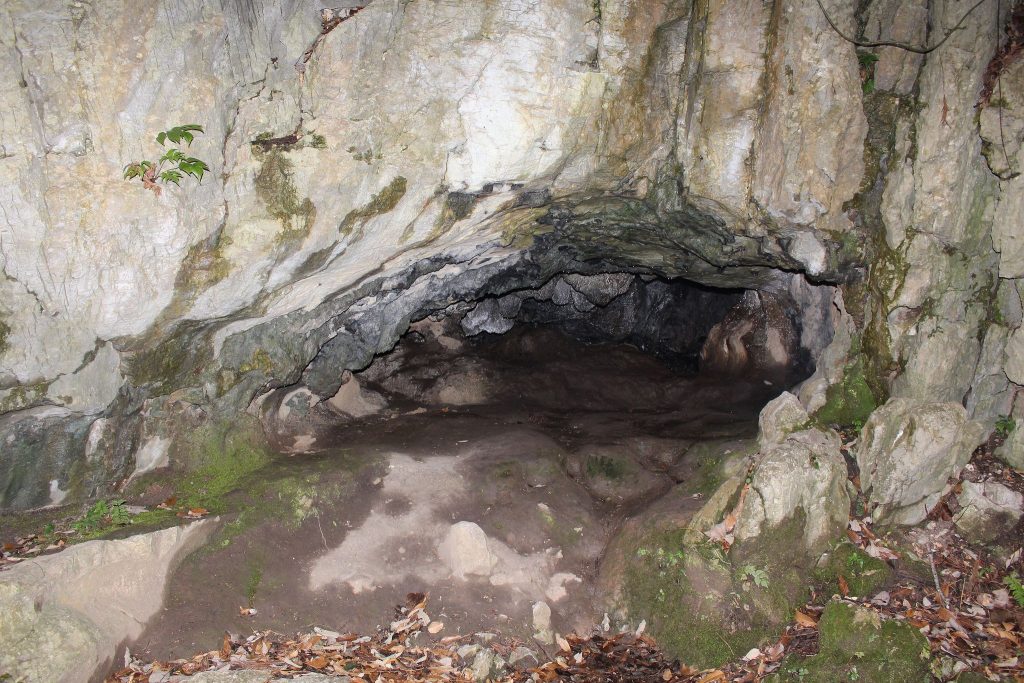 Susenoja Cave: A Jomon-Period Archaeological Site in Japan 2 Susenoja cave