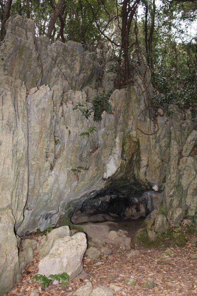 Susenoja Cave: A Jomon-Period Archaeological Site in Japan 3 Susenoja cave
