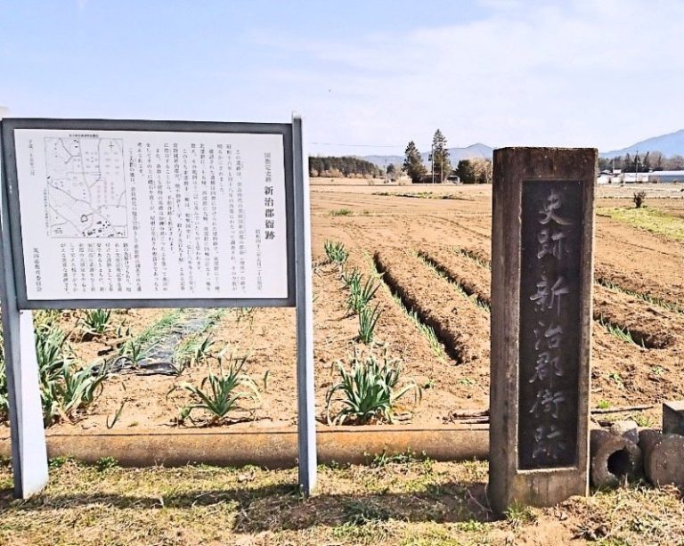 Niihari Gunga Ruins: An Ancient District Government Complex in Japan