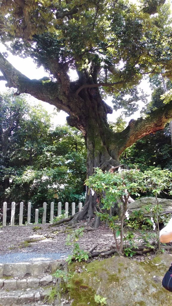 Imahie Jingū: A Historic Guardian Shrine in Kyoto 5 Imahie Jingū