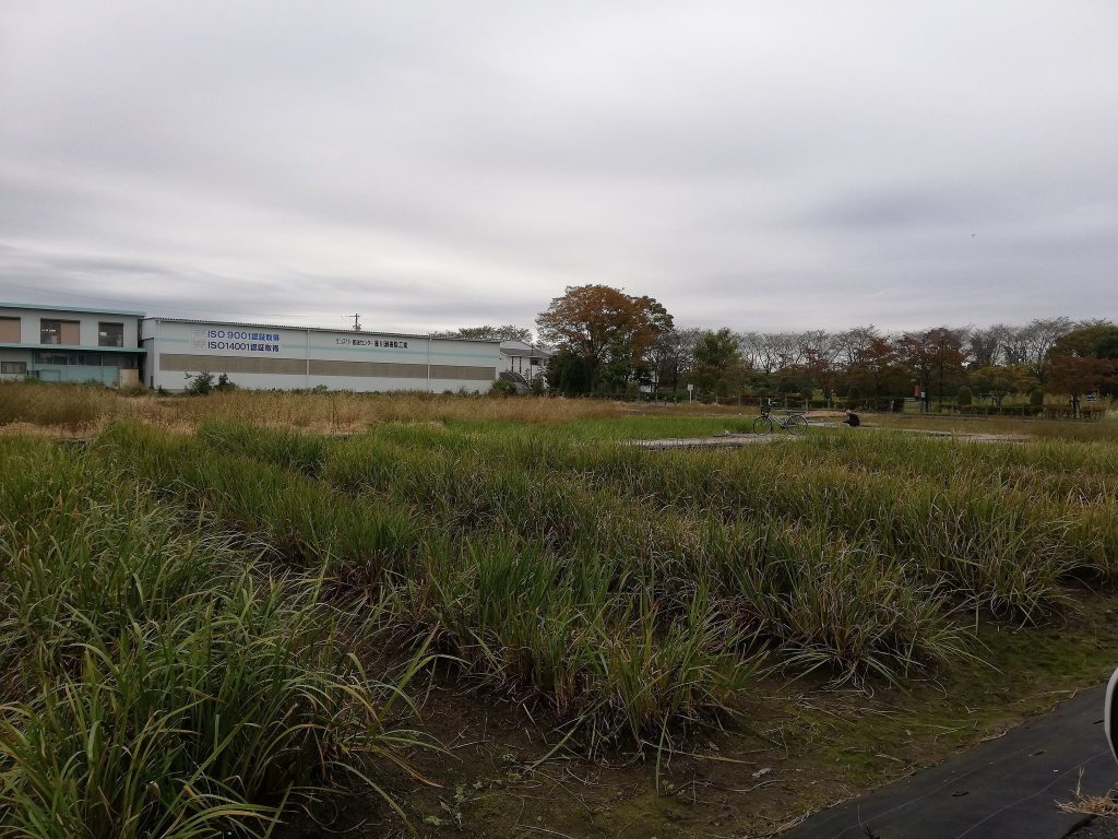 Sone Castle: A Sengoku-Period Japanese Castle in Ogaki 4 Sone Castle