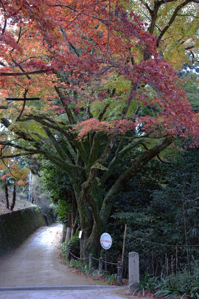 Engyō-ji Temple