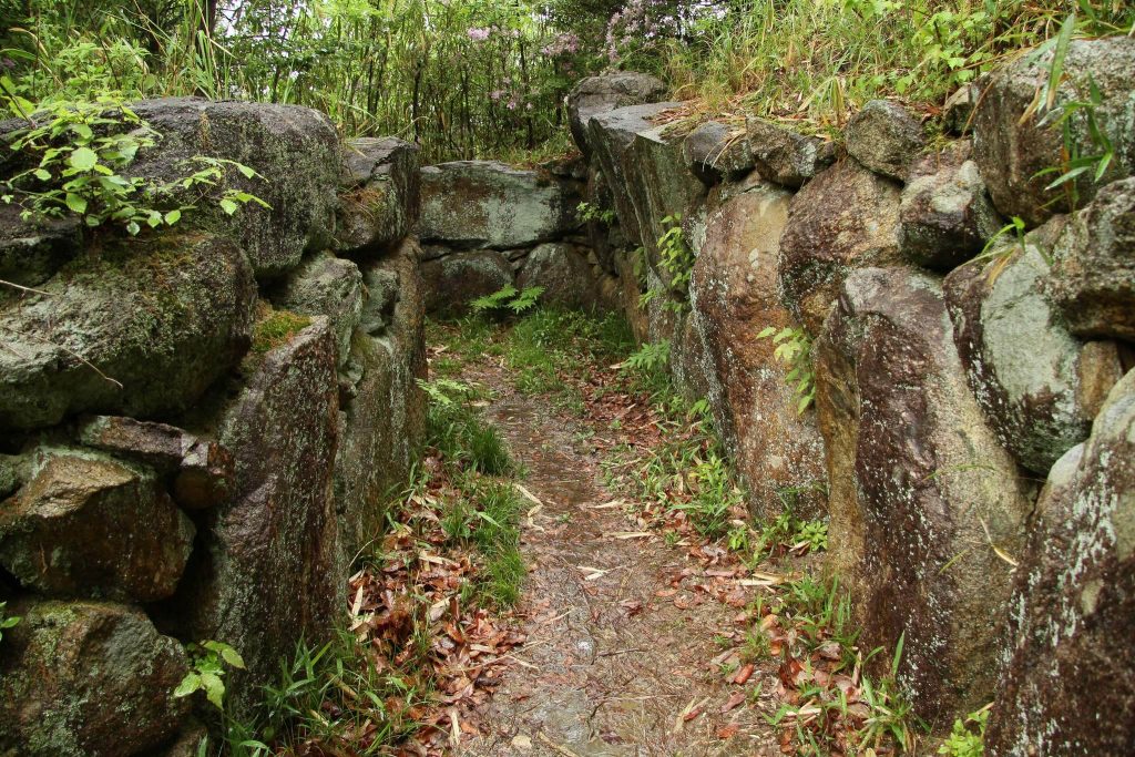 Ichisuka Kofun Cluster: A Kofun-Period Burial-Mound Group in Osaka, Japan 2 Ichisuka Kofun Cluster