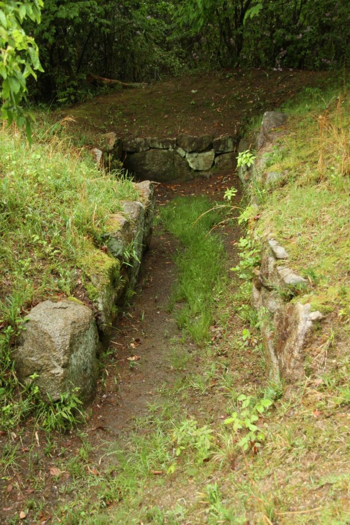 Ichisuka Kofun Cluster: A Kofun-Period Burial-Mound Group in Osaka, Japan 3 Ichisuka Kofun Cluster