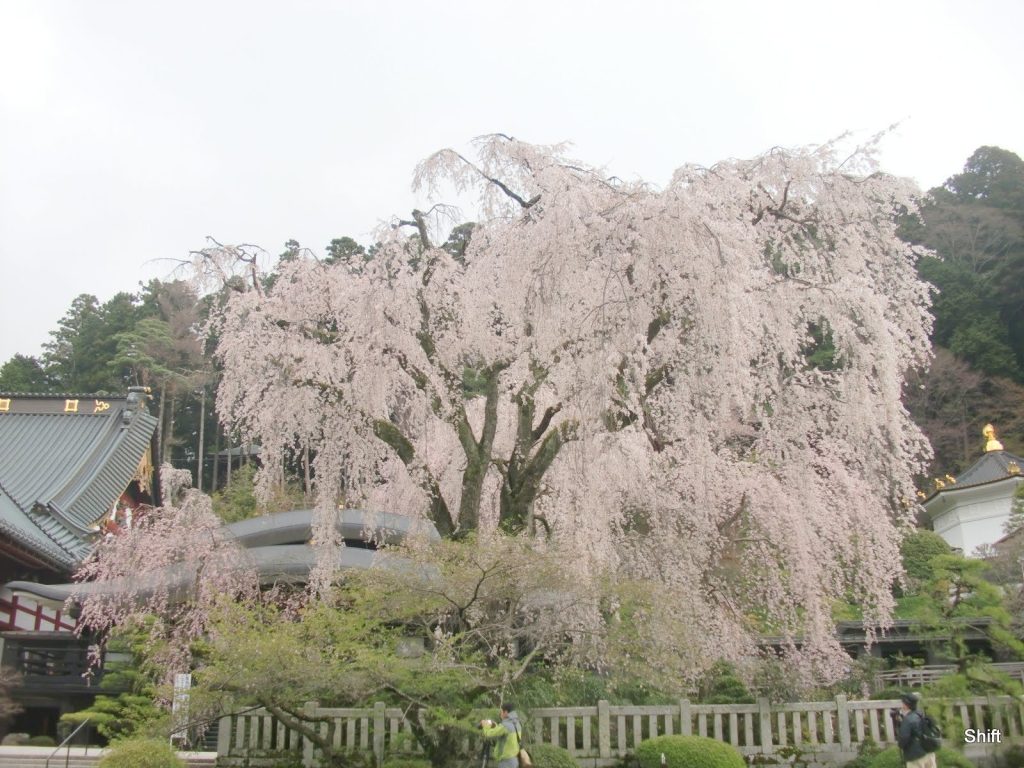 Kuon-ji Temple: The Head Temple of Nichiren Buddhism in Japan 4 Kuon-ji Temple