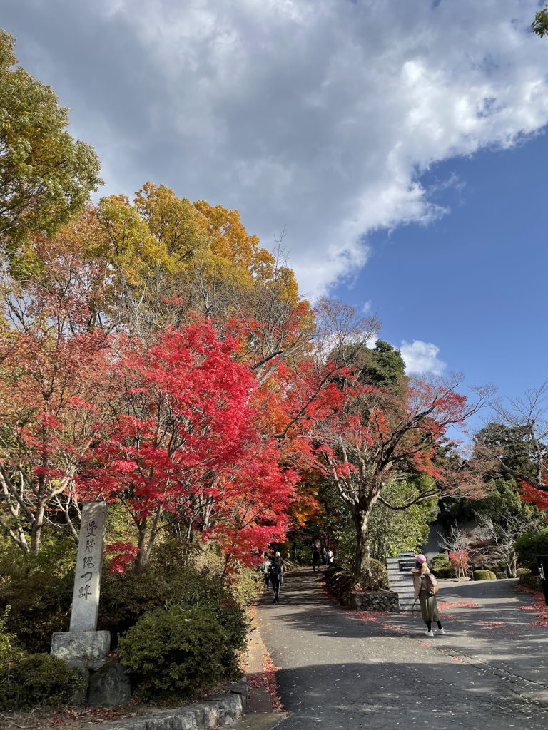 Manshu-in Temple: An Imperial Tendai Monzeki Temple in Kyoto 5 Manshu-in Temple