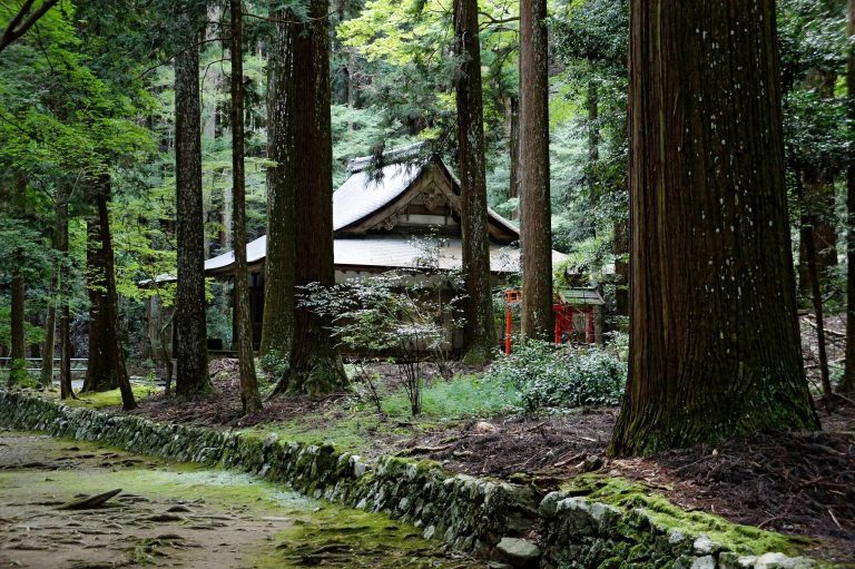 Kōzan-ji Temple: A Kamakura-Period Buddhist Monastery in Kyoto