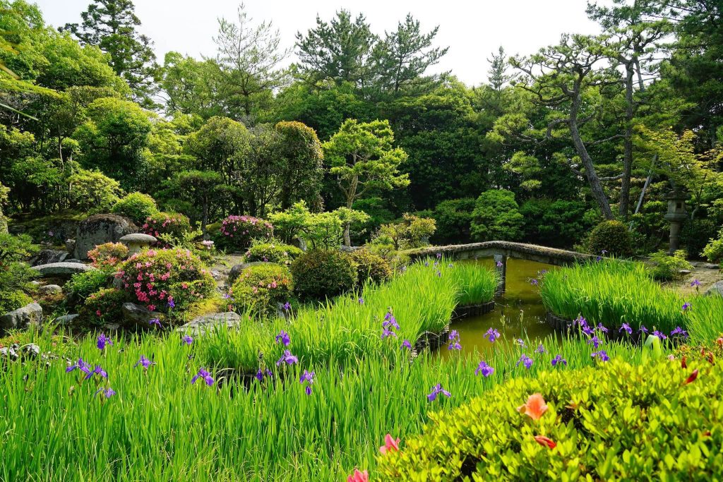Hokke-ji Temple: Japan’s National Head Nunnery of the Nara Period 5 Hokke-ji Temple