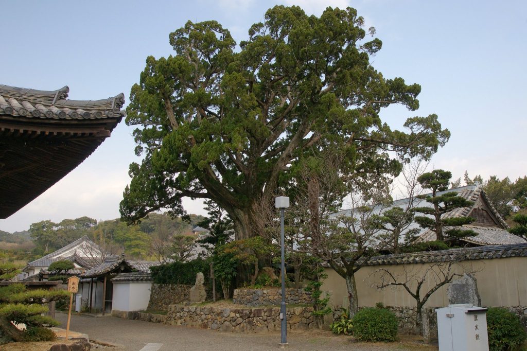 Dōjō-ji Temple