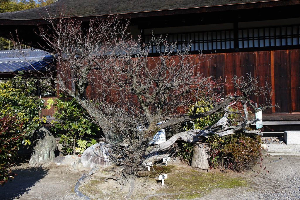 Kajū-ji Temple: An Imperial Monzeki Head Temple in Kyoto 5 Kajū-ji Temple