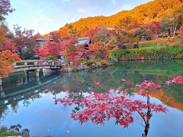 Eikan-dō Zenrin-ji Temple: A Buddhist Head Temple in Kyoto