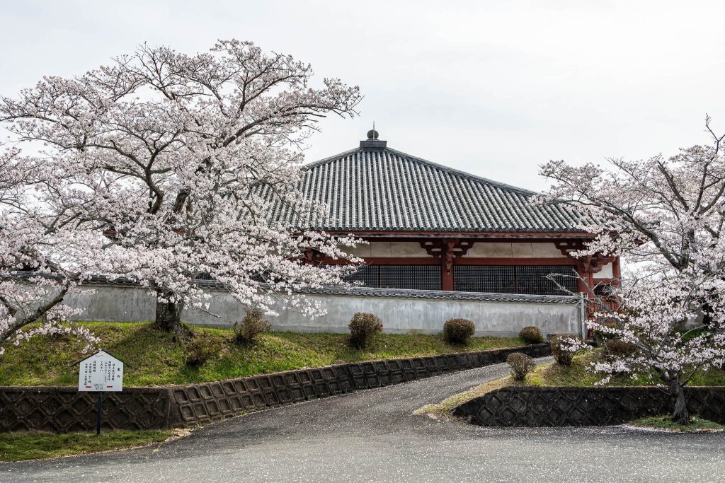 Jōdo-ji Temple: A Shingon Buddhist Temple and Daibutsuyō Monument in Ono, Japan 5 Jōdo-ji Temple