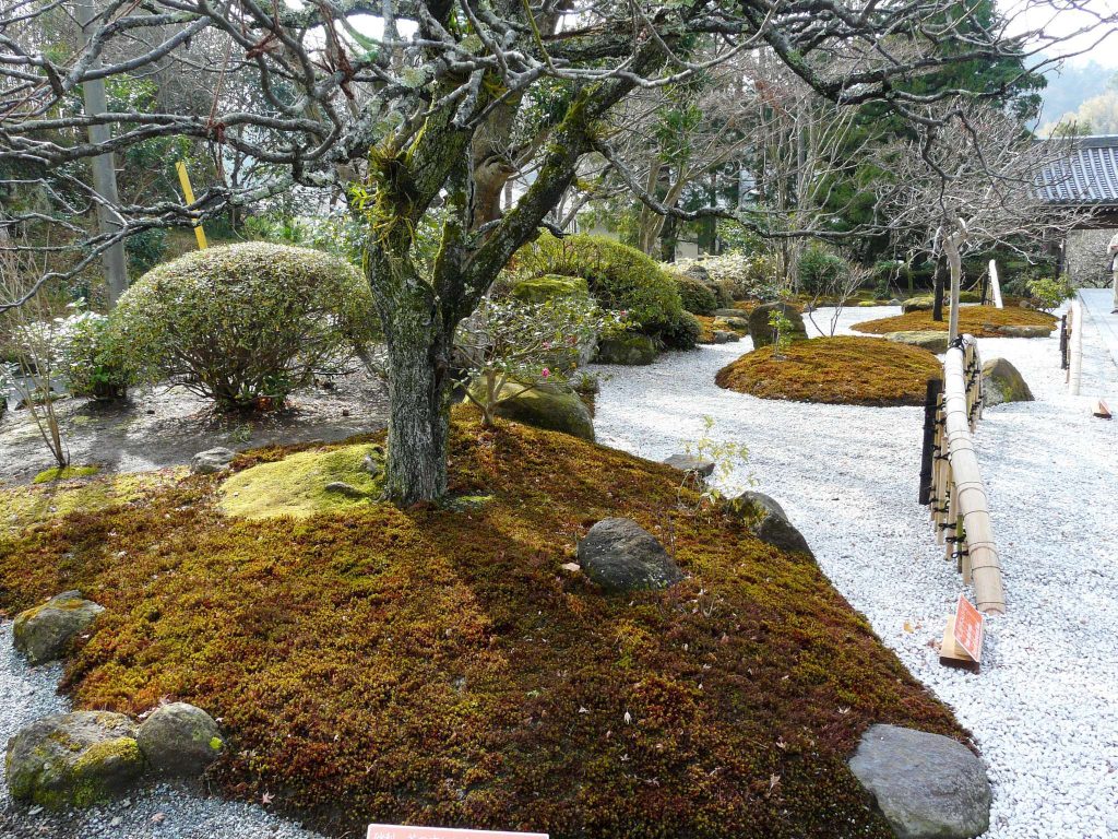 Jōmyō-ji Temple: A Rinzai Zen Temple in Kamakura 4 Jōmyō-ji Temple