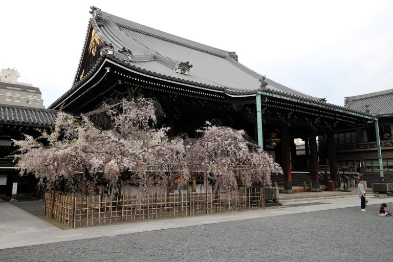 Bukkō-ji Temple: Head Temple of the Bukkōji-ha in Kyoto