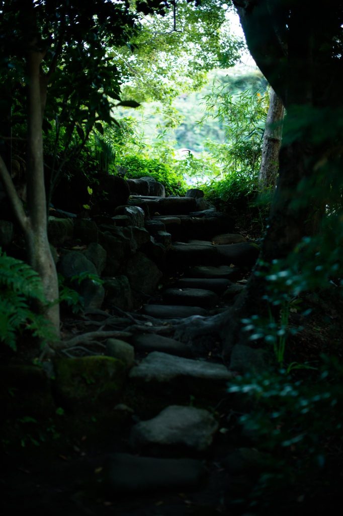 Sugimoto-dera Temple: A Historic Tendai Buddhist Temple in Kamakura 4 Sugimoto-dera Temple
