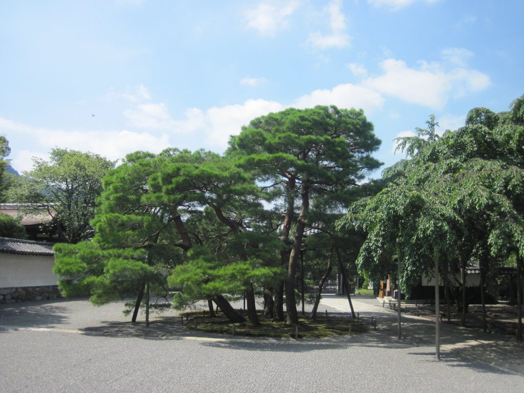 Sanbō-in Temple: A Shingon Buddhist Head Temple in Kyoto 3 Sanbō-in Temple