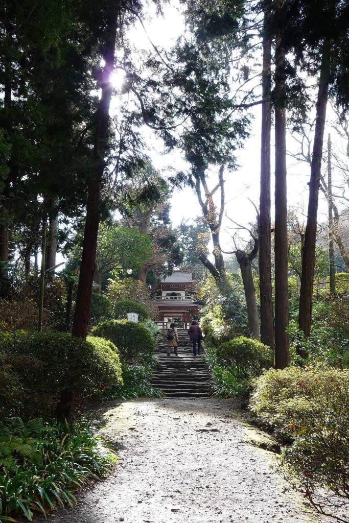 Meigetsu-in: A Rinzai Zen Temple in Kamakura, Japan 2 Meigetsu-in