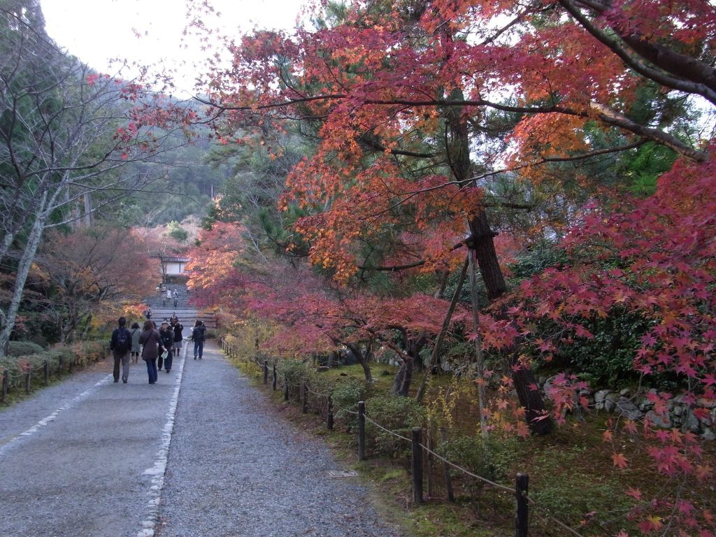 Nison-in Temple: A Tendai Buddhist Temple Complex in Kyoto 2 Nison-in Temple