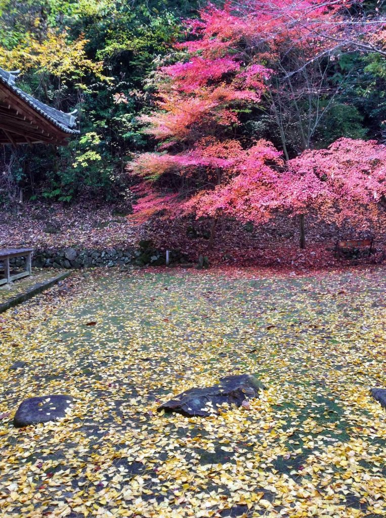 Buttsū-ji Temple: Head Temple of a Rinzai Zen Branch in Japan 4 Buttsū-ji Temple