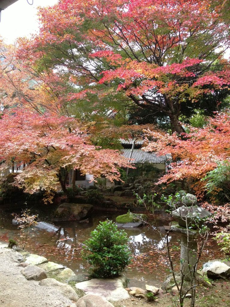 Buttsū-ji Temple: Head Temple of a Rinzai Zen Branch in Japan 5 Buttsū-ji Temple