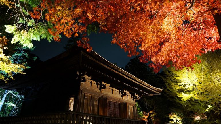 Shiramizu Amida-dō: A Late-Heian Buddhist Hall in Japan
