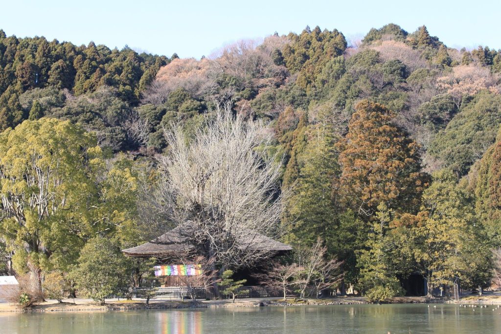 Shiramizu Amida-dō: A Late-Heian Buddhist Hall in Japan 3 Shiramizu Amida-dō