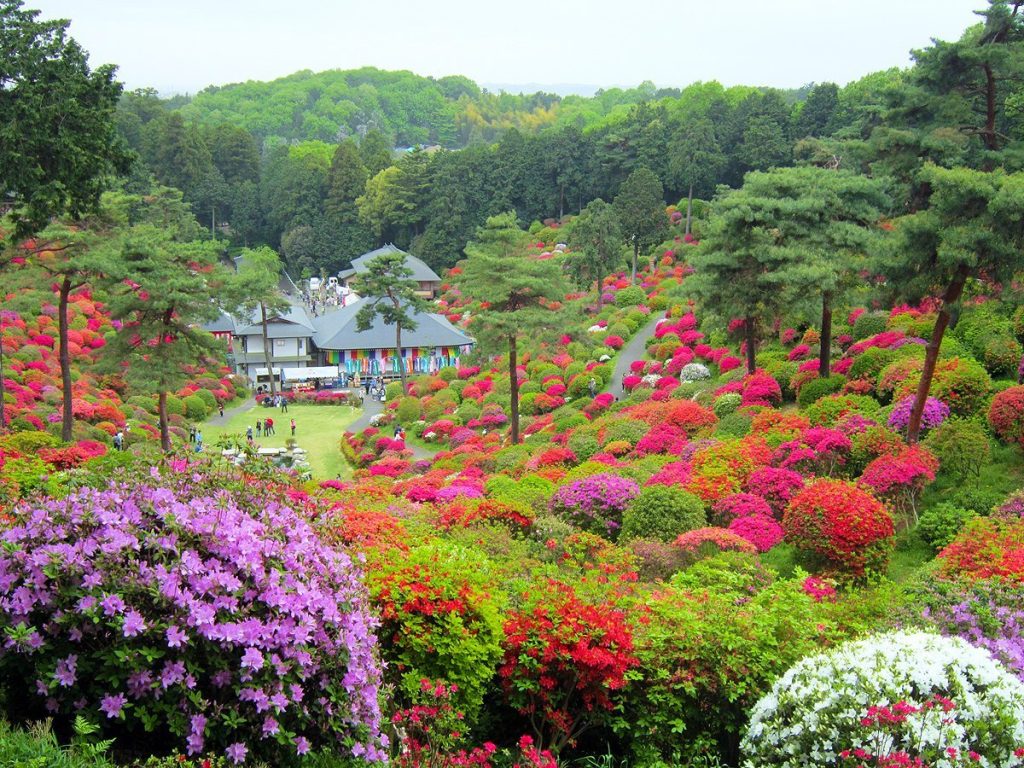 Shiofune Kannon Temple: A Shingon Buddhist Temple in Japan 5 Shiofune Kannon Temple