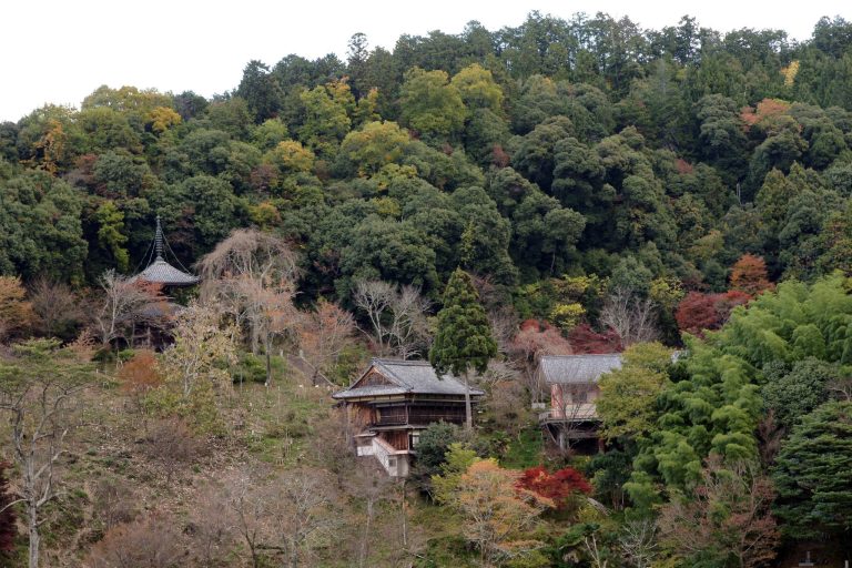 Nyoirin-ji Temple: A Jōdo Buddhist Temple on Mount Yoshino