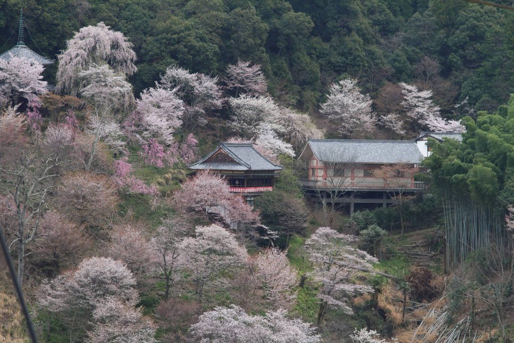 Nyoirin-ji Temple