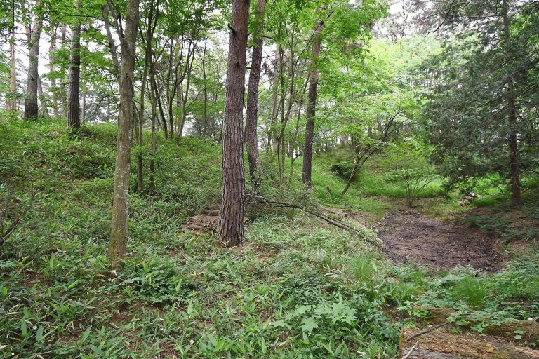 Senryū Shōgunzuka Kofun: An Elite Kofun-Period Burial Mound in Japan