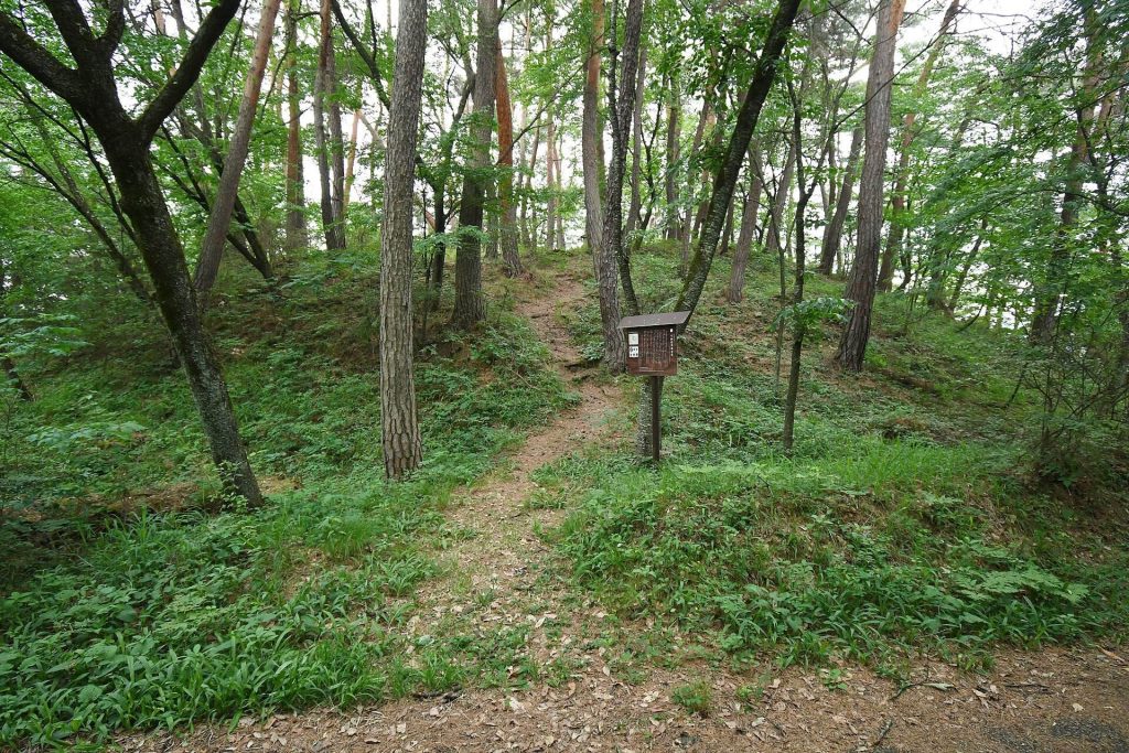 Senryū Shōgunzuka Kofun: An Elite Kofun-Period Burial Mound in Japan 2 Senryū Shōgunzuka Kofun
