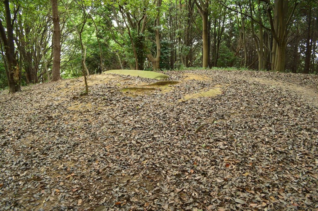 Danjyo-zan Kofun