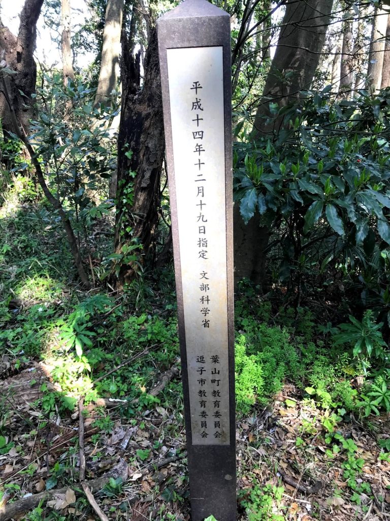 Nagae-Sakurayama Kofun Cluster: Early Kofun-Period Burial Mounds in Japan