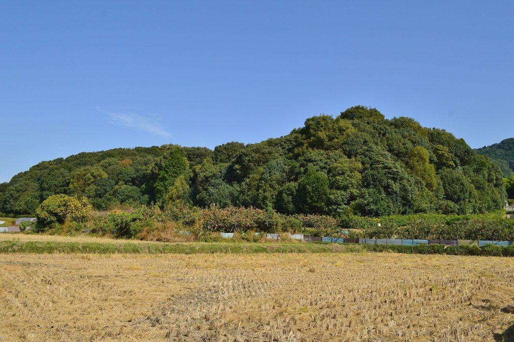 Nishitonozuka Kofun: A Keyhole-Shaped Burial Mound in Japan 1 Nishitonozuka Kofun