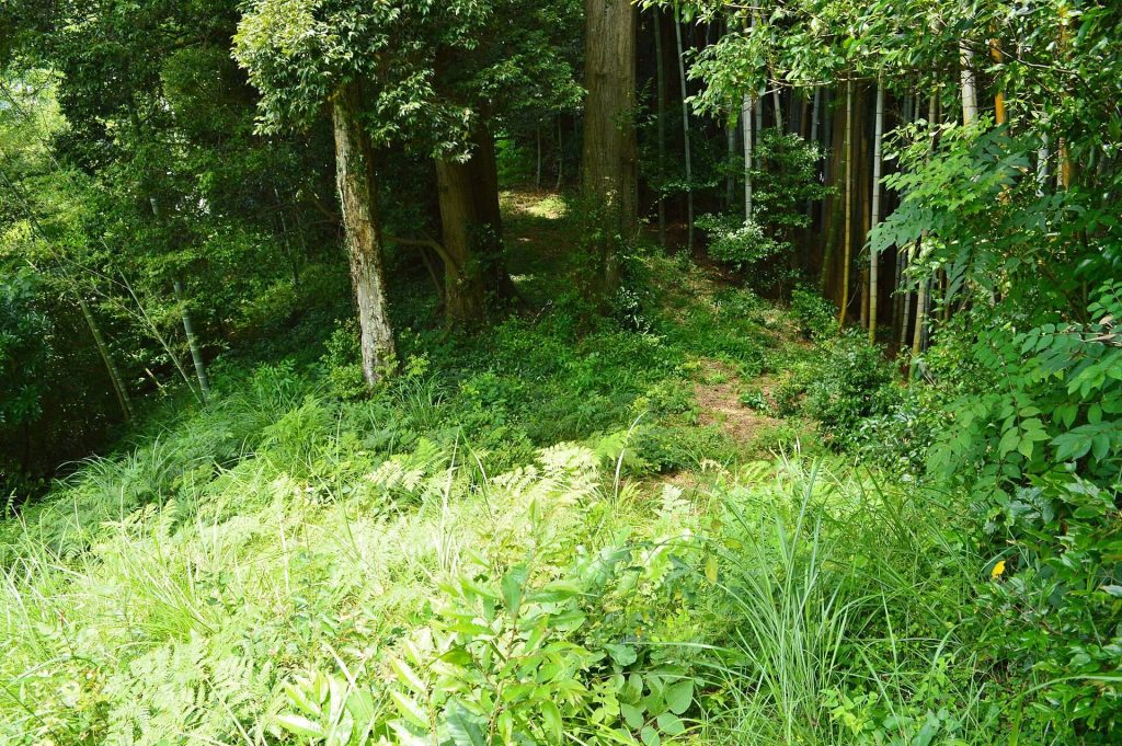 Shibuno Maruyama Kofun: A Keyhole-Shaped Burial Mound in Japan 1 Shibuno Maruyama Kofun