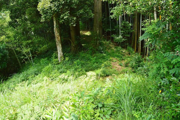 Shibuno Maruyama Kofun: A Keyhole-Shaped Burial Mound in Japan