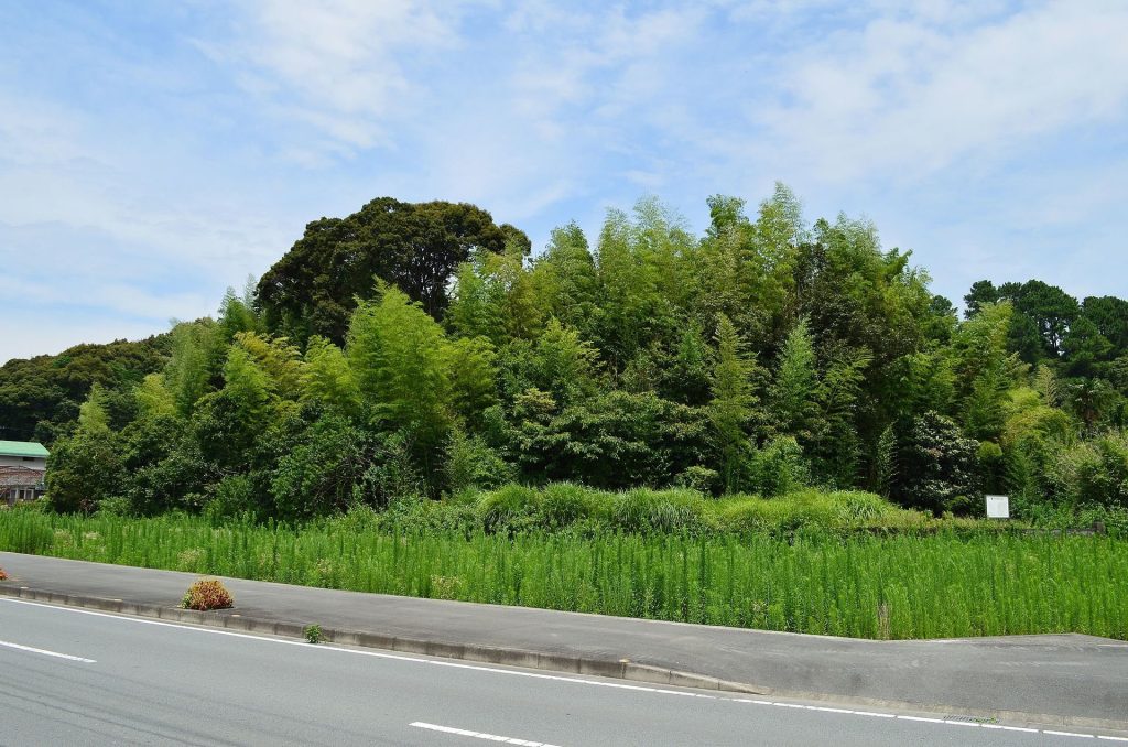 Shibuno Maruyama Kofun: A Keyhole-Shaped Burial Mound in Japan 2 Shibuno Maruyama Kofun