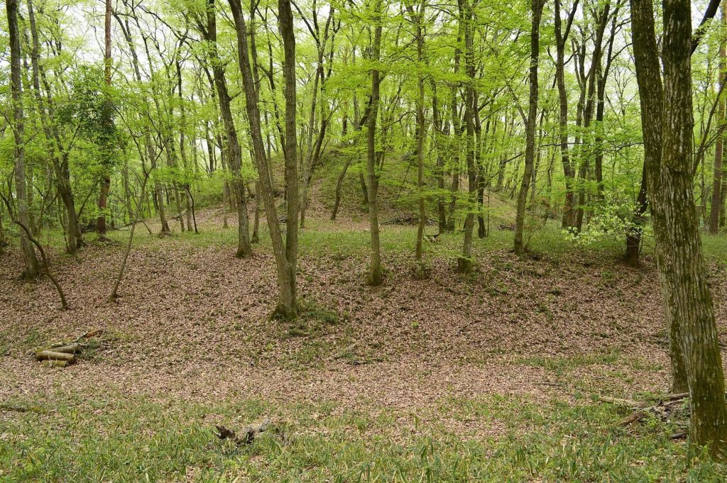 Azuma Kofun: A Late-Sixth-Century Burial Mound in Japan 2 Azuma Kofun