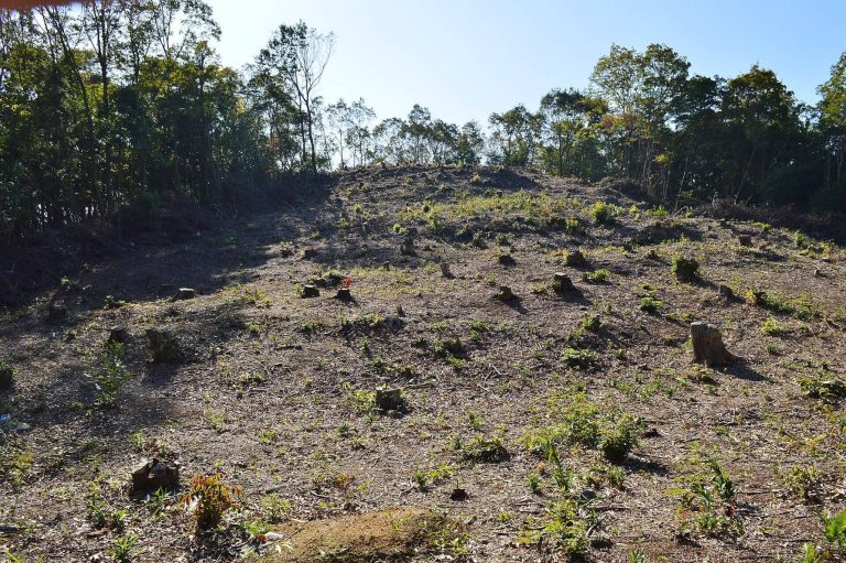 Tomio-Maruyama Kofun: Japan’s Largest Known Circular Burial Mound