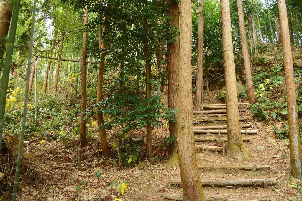 Higashinorikura Kofun: A Sixth-Century Keyhole Burial Mound in Japan 1 Higashinorikura Kofun