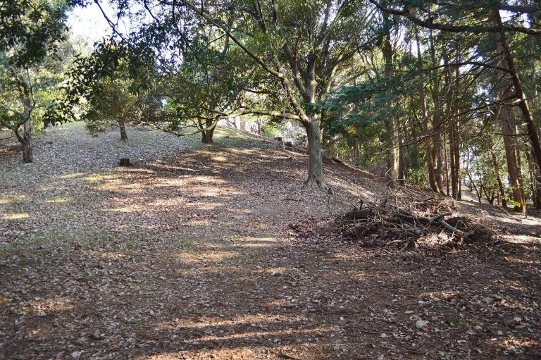 Teradani Chōshizuka Kofun: An Early Kofun-Period Burial Mound in Japan