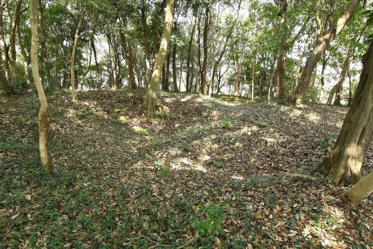 Suyama Kofun: An Elite Keyhole-Shaped Burial Mound in Japan