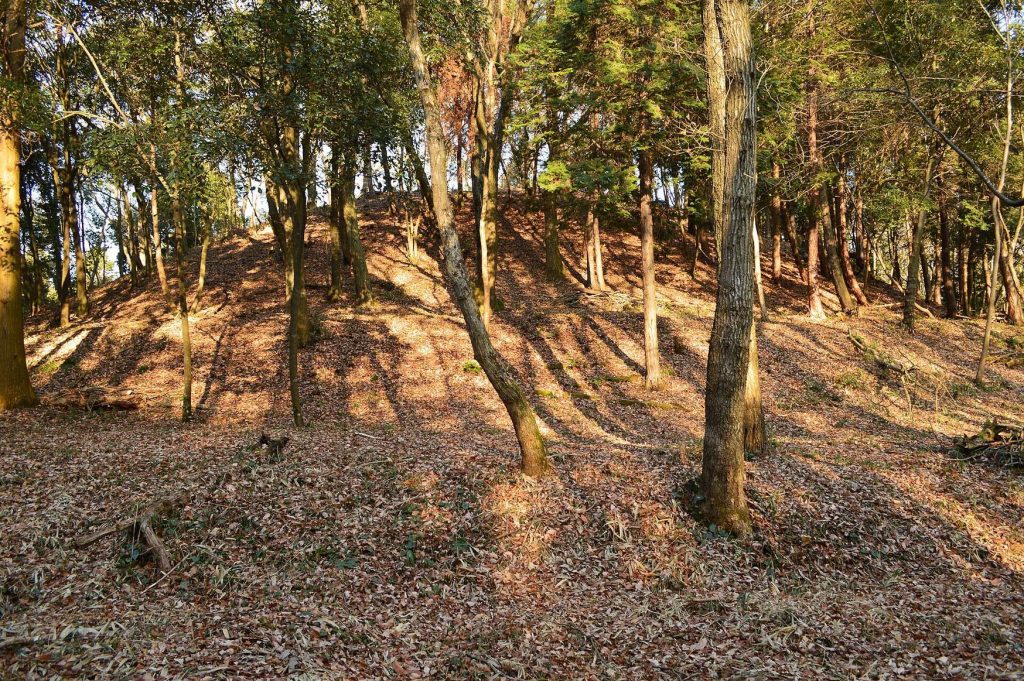 Mihakayama Kofun: A Fifth-Century Keyhole Burial Mound in Japan 2 Mihakayama Kofun