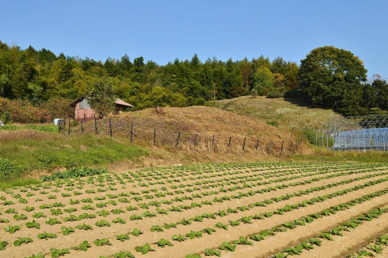 Kanazuka Kofun: A Late Kofun-Period Burial Mound in Japan