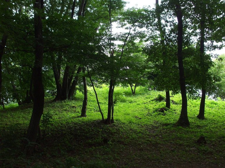 Kitaōya Kofun: A Seventh-Century Elite Burial Mound in Japan