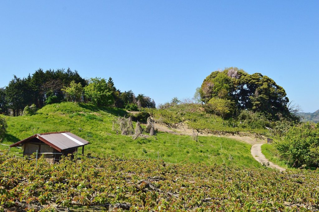 Kitayama Kofun: A Fifth-Century Keyhole Burial Mound in Japan 2 Kitayama Kofun