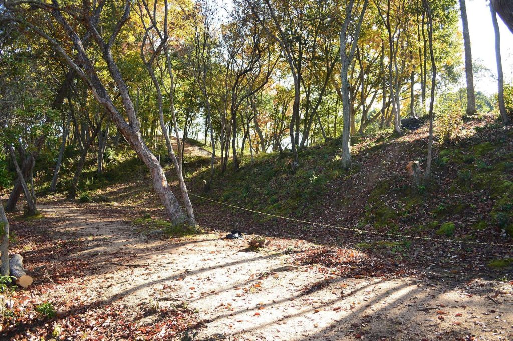 Futagozuka Kofun (Fukuyama): A Seventh-Century Keyhole Burial Mound 2 Futagozuka Kofun (Fukuyama)