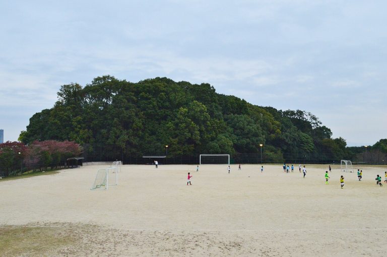 Chausuyama Kofun: A Kofun-Period Chief’s Burial Mound in Japan