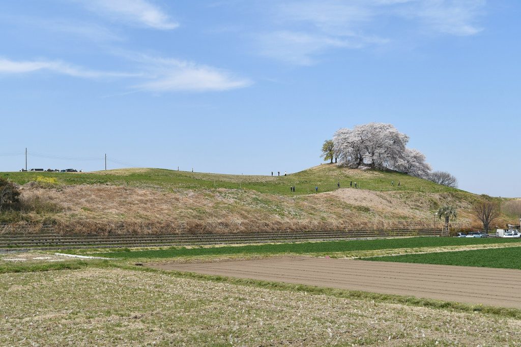 Shiroishi Inariyama Kofun: A Kofun-Period Burial Mound in Japan 2 Shiroishi Inariyama Kofun