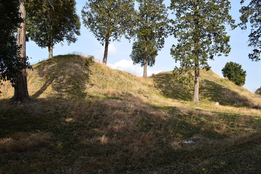 Miwayama Kofun Group